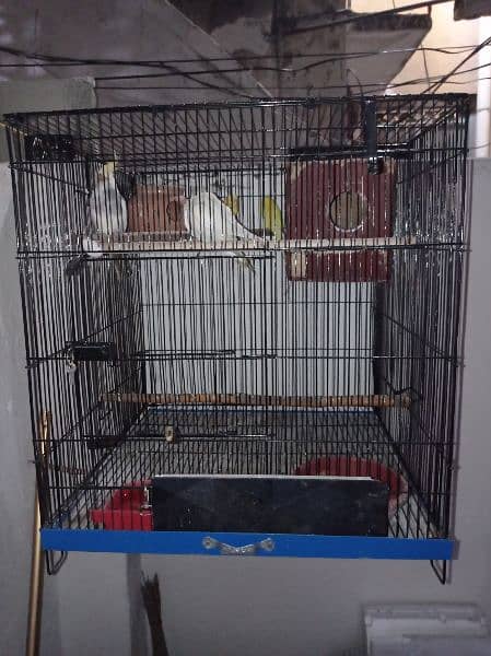 folding cage for sale 03128270169 1