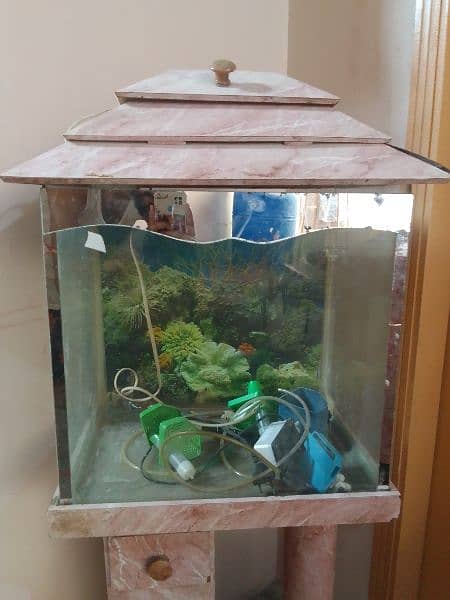 fish tank with roof and stand 1