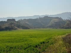 210 Kanal Agriculture Land For Sale In Klar Khar Chakwal