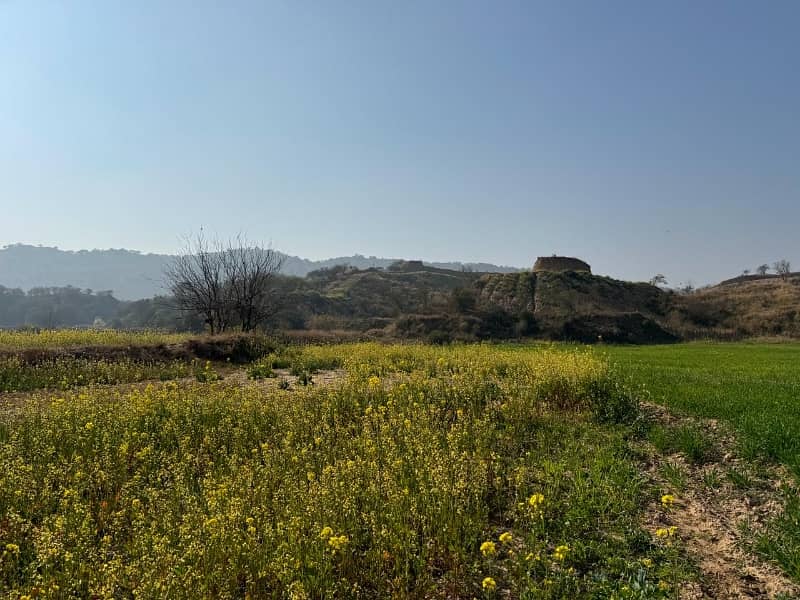 210 Kanal Agriculture Land For Sale In Klar Khar Chakwal 1