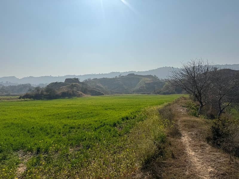 210 Kanal Agriculture Land For Sale In Klar Khar Chakwal 3