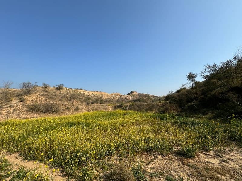 210 Kanal Agriculture Land For Sale In Klar Khar Chakwal 7