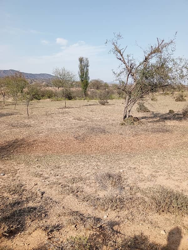 700 Kanal Agriculture Land For Sale In Jhelum Road Chakwal 5