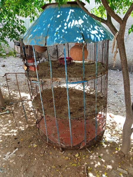 cage or lakha mianwali 5