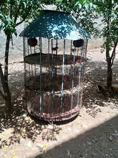 cage or lakha mianwali
