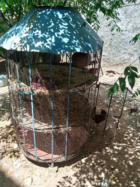 cage or lakha mianwali 6