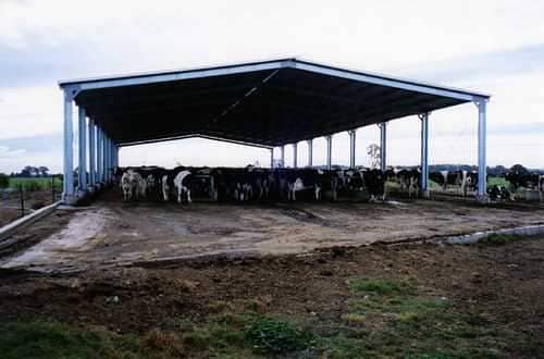 warehouse sheds, Steel structure, Roof Top manufacturer 0