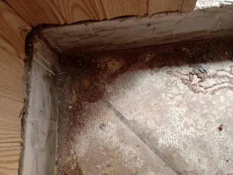 Mosquito Termite Fumigation Deemak Pest Rats Lizards Control Service 1