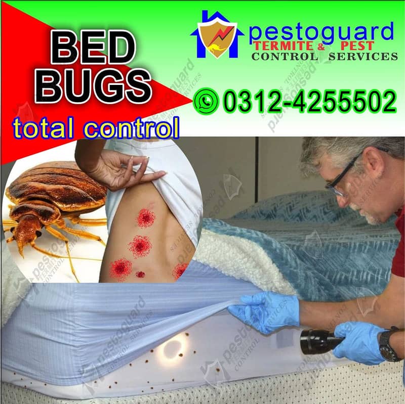 Termite Control, pest Spray, Deemak Control, Dengue spray, Beds bug 1