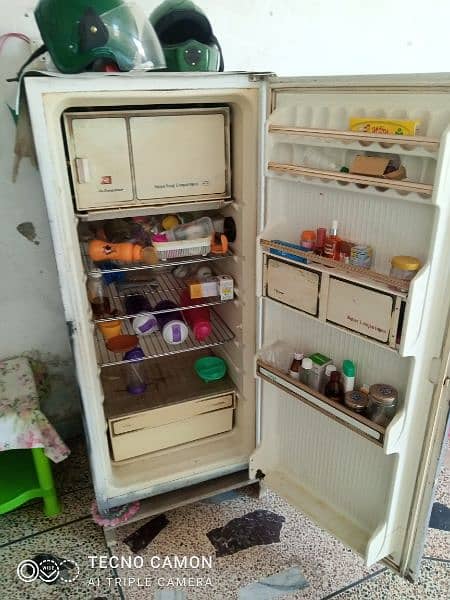 old singel dor fridge 1