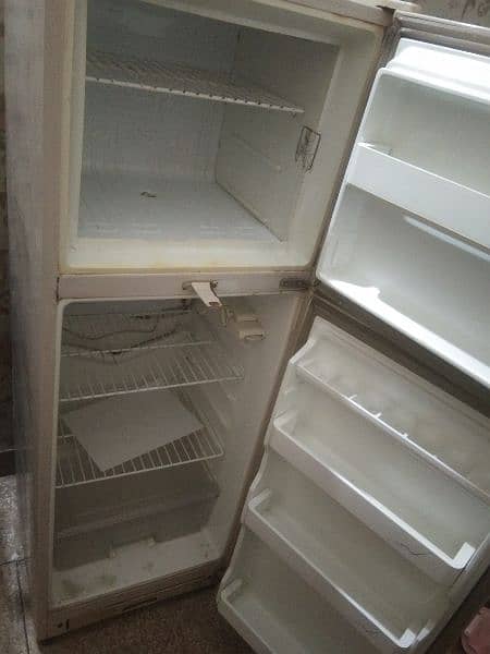 Dawlence medium fridge neat clean 1