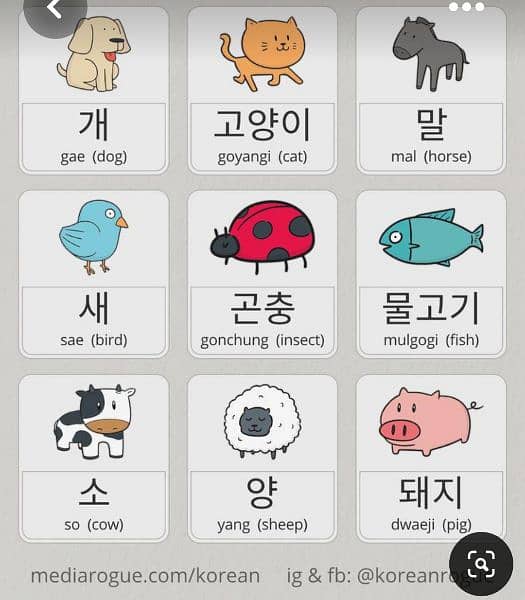 Korean language course 11
