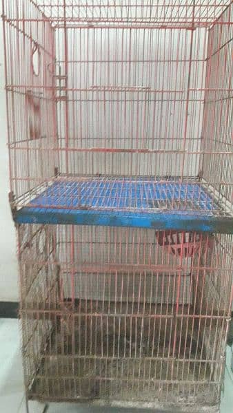 breeding cage 3