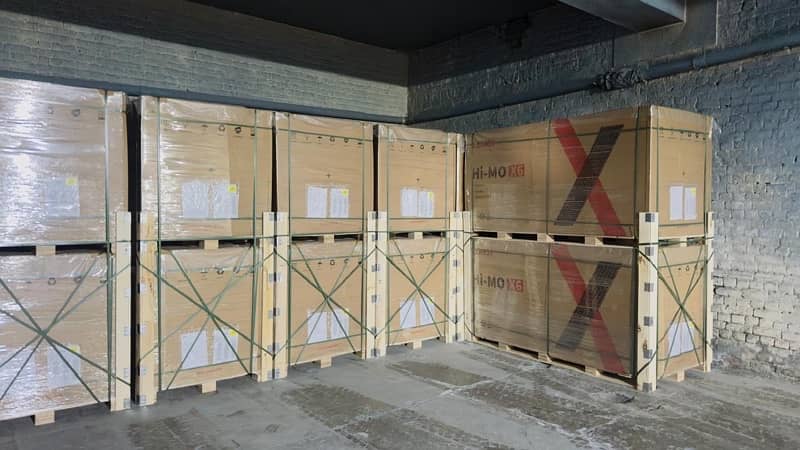 Longi Himo x6 in wholesale price bulk quantity fresh import 6