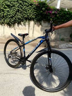 champion cycle for sale