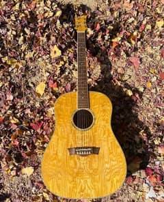 Dean AXS Acoustic Guitar |Original| Dreadnought Body |03157659890|