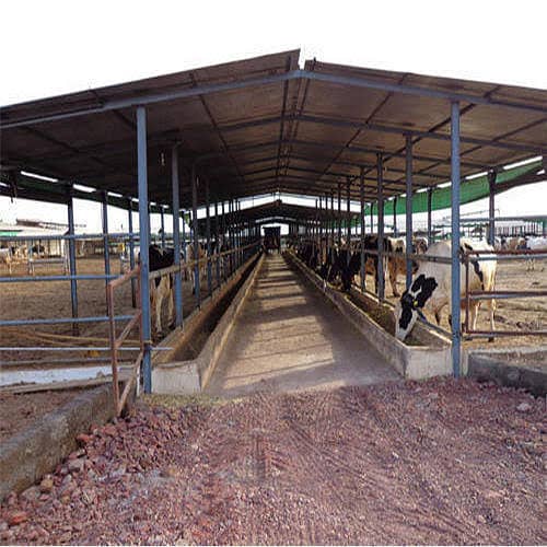 cold room sheds, portable cabin & indutrial steel structure 3