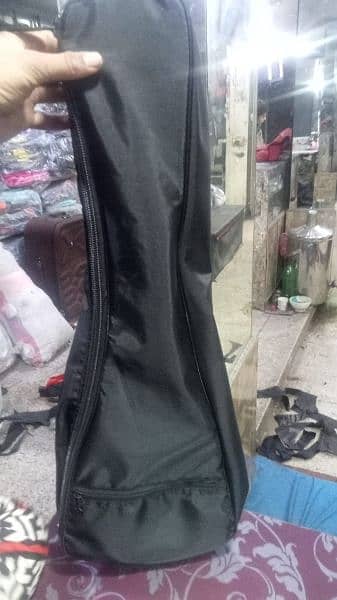 Accostic guitar Bags 1