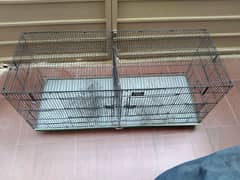 cage,parrot and finches