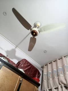 celling fan good condition 0