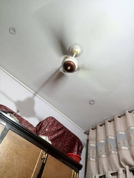 celling fan good condition 1
