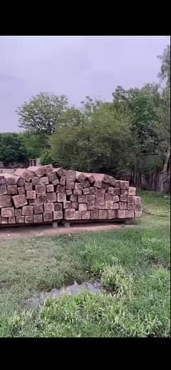 High quality Nander wood of Naran for sale 0