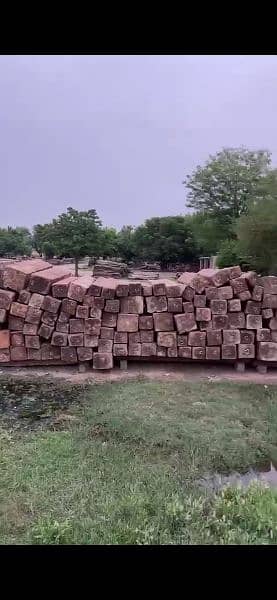 High quality Nander wood of Naran for sale 1