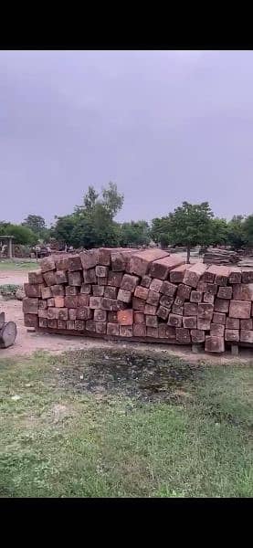 High quality Nander wood of Naran for sale 2