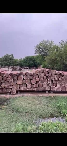 High quality Nander wood of Naran for sale 3