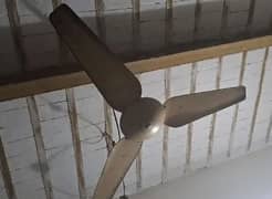 ceiling fan for sale