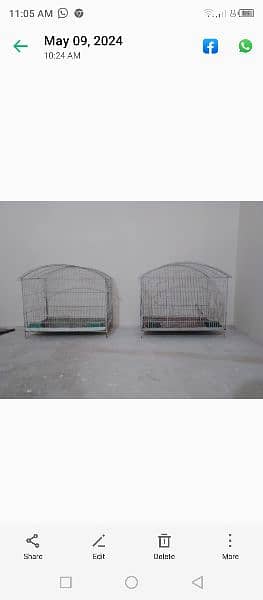 Fisher com lovebirds and Cage box 2