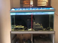 3 feet aquarium for sale