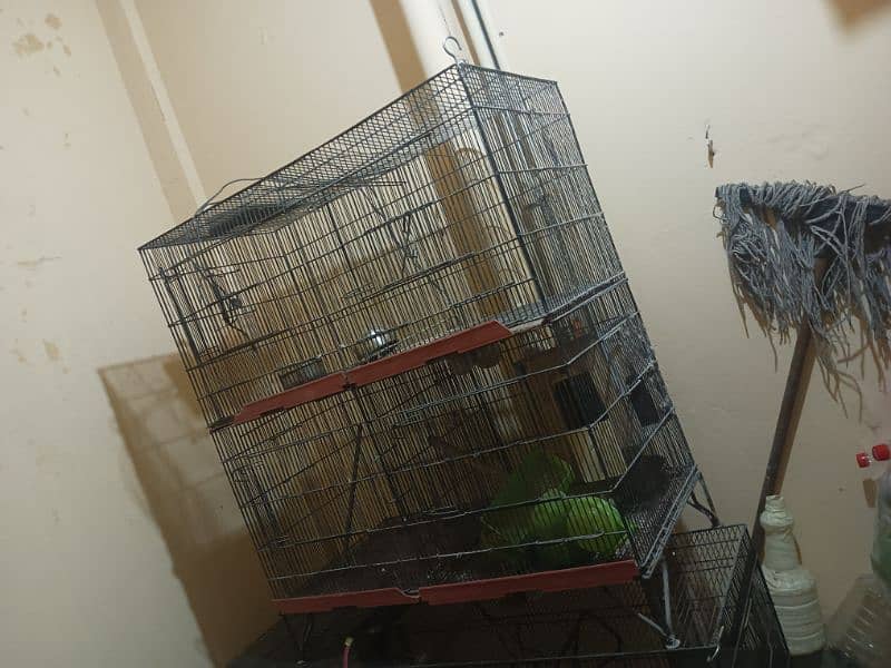 Birds cage for sale 2