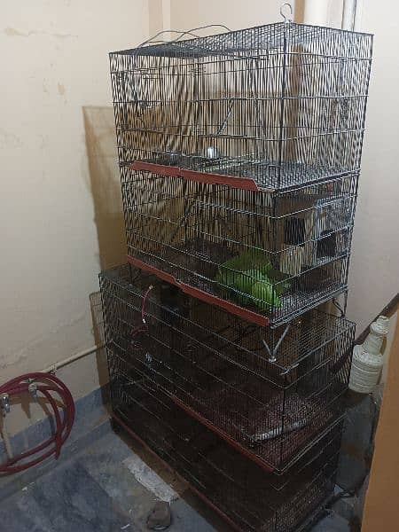 Birds cage for sale 3