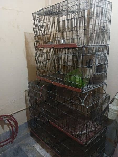 Birds cage for sale 4