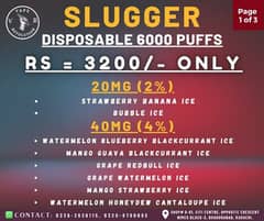 Slugger 6000 0