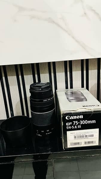 Canon EOS 750D | DSLR | with 75-300mm and 18-55mm IS Lens 8