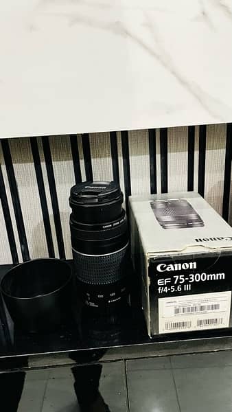 Canon EOS 750D | DSLR | with 75-300mm and 18-55mm IS Lens 9