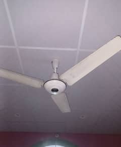 Royal Fan good ceiling type 56inch white colour 100%geniun pure copper 0