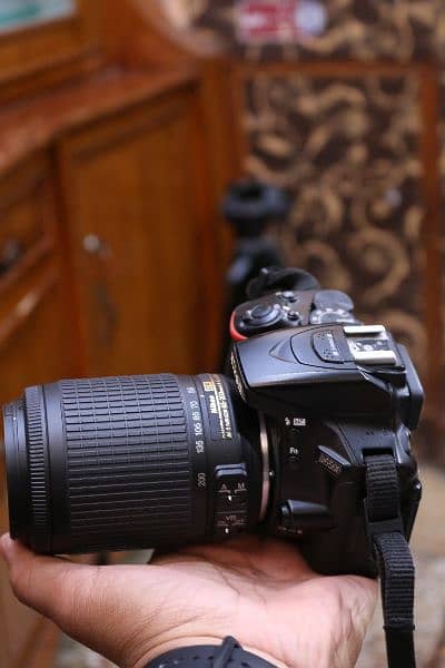 Nikon D5500 with 55 200mm Vr lens. 8