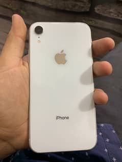 iphone Xr Pta Approved