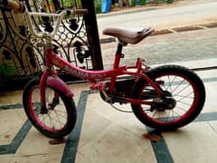 diana imported cycle for girls