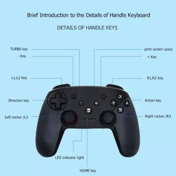 Game Controller for Nintendo Switch 5