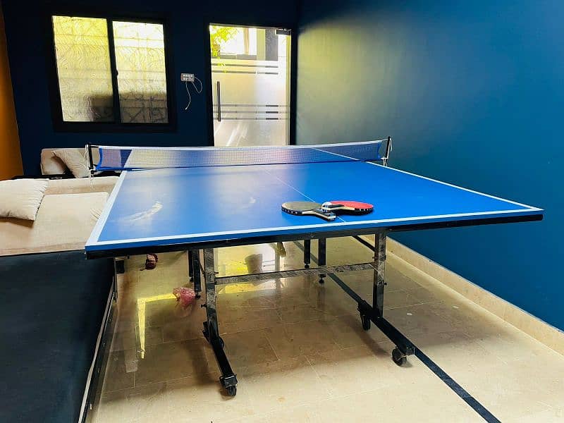 Table tennis at wholesale rates(Manufacturer of indoor games) 8