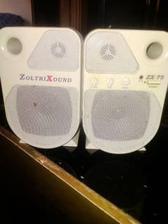 ZoltriXound ZX-75 original speakers.