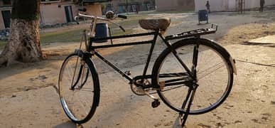 phoneix bicycle for sale 0