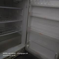 singer fridge