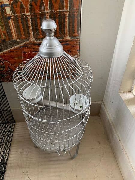 Green parrot with cage 4