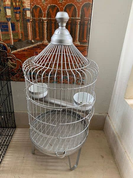 Green parrot with cage 6