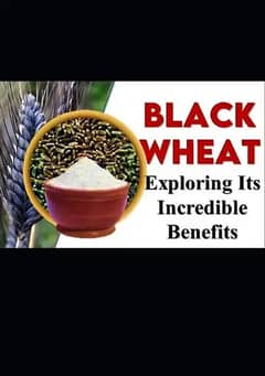 Black Wheat (special Quality)
